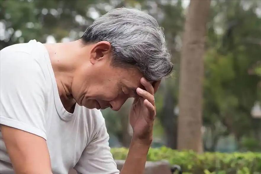 从生理机制到数据验证:午睡如何重塑人体下午的能量曲线 健康养生