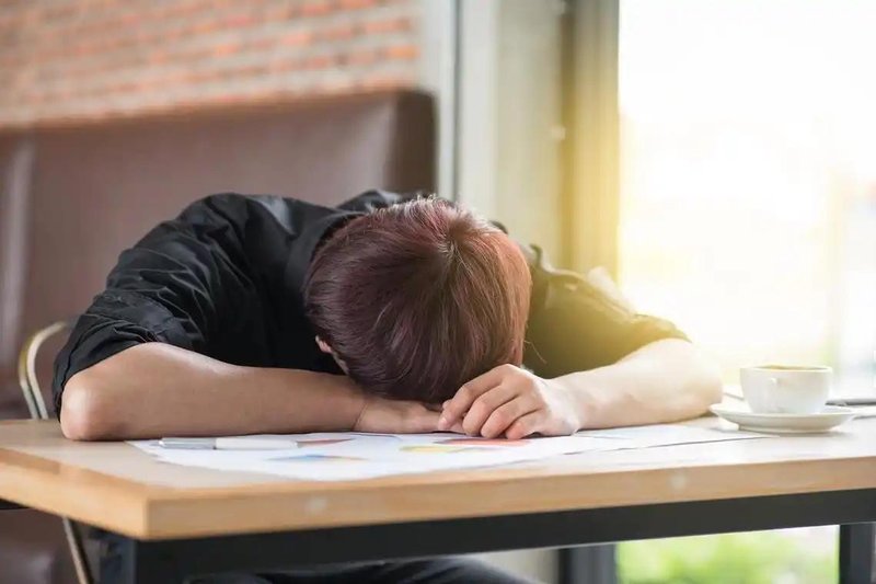 从生理机制到数据验证:午睡如何重塑人体下午的能量曲线 健康养生