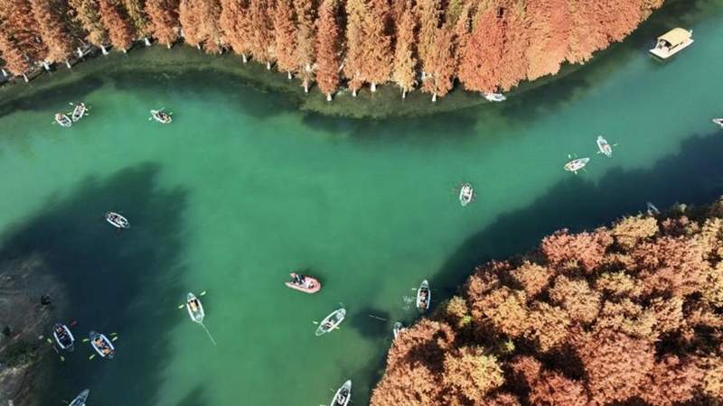  信任托付：青浦如何用行动书写对这片土地的承诺 新闻 信任托付：青浦如何用行动书写对这片土地的承诺 新闻 信任托付：青浦如何用行动书写对这片土地的承诺 新闻 信任托付：青浦如何用行动书写对这片土地的承诺 新闻 信任托付：青浦如何用行动书写对这片土地的承诺 新闻