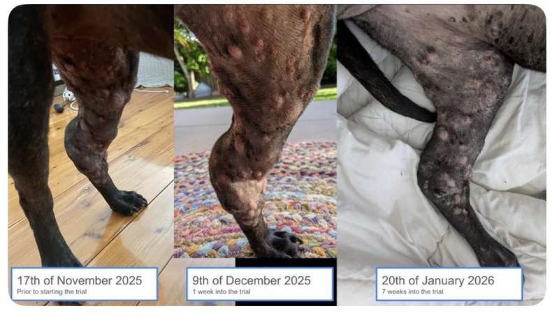从九成覆盖率到全生命周期防护:解码中国疫苗免疫体系的技术跃迁 健康养生