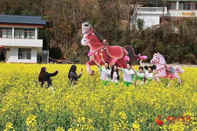 【技术解码】甘肃“花经济”产业链:数据背后的产业闭环逻辑 文化旅游