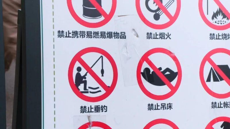 它们回家了!苏州河边的这场生命重逢,治愈了整座城市的焦虑 文化旅游