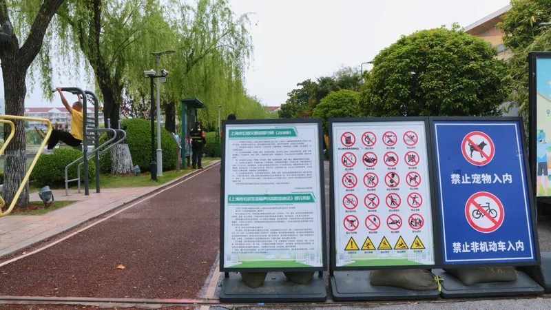 它们回家了!苏州河边的这场生命重逢,治愈了整座城市的焦虑 文化旅游
