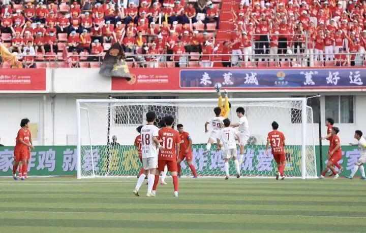  从霞浦小将到闽超赛场：三位足球少年的梦想与荣耀 体育新闻 从霞浦小将到闽超赛场：三位足球少年的梦想与荣耀 体育新闻 从霞浦小将到闽超赛场：三位足球少年的梦想与荣耀 体育新闻