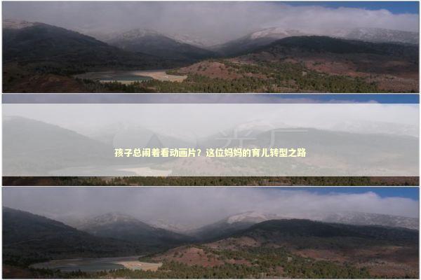 孩子总闹着看动画片？这位妈妈的育儿转型之路