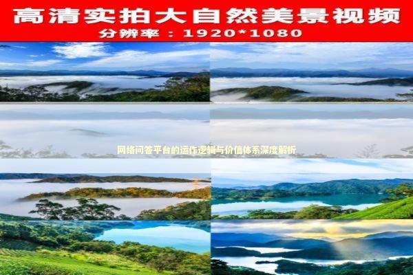 网络问答平台的运作逻辑与价值体系深度解析