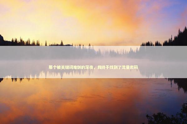 那个被关键词难倒的深夜,我终于找到了流量密码 那个被关键词难倒的深夜,我终于找到了流量密码 IT技术