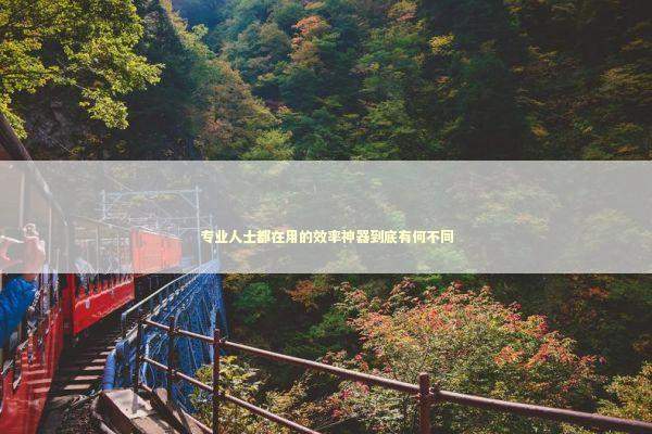 专业人士都在用的效率神器到底有何不同